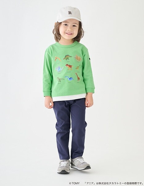 petit main TOMICA・ANIA collection 2026.1