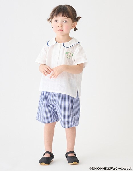 petit main いないいないばあっ！ collection 2026.4