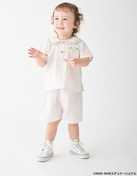 petit main いないいないばあっ！ collection 2026.4