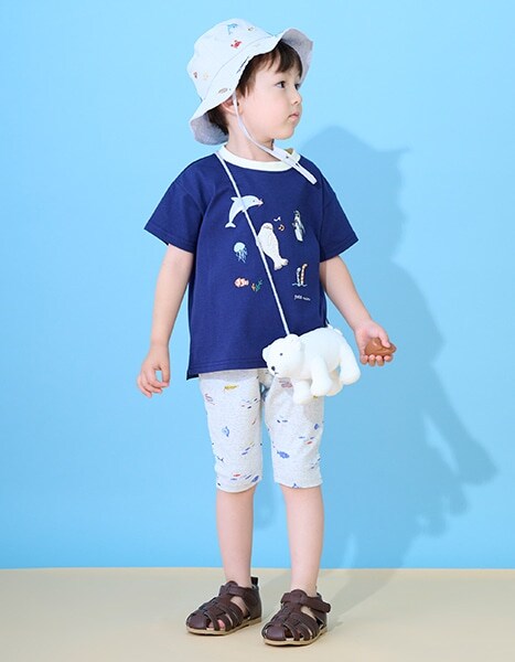 petit main 水族館 collection 2026.6