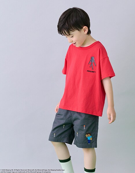 petit main MINECRAFT collection 2026.7