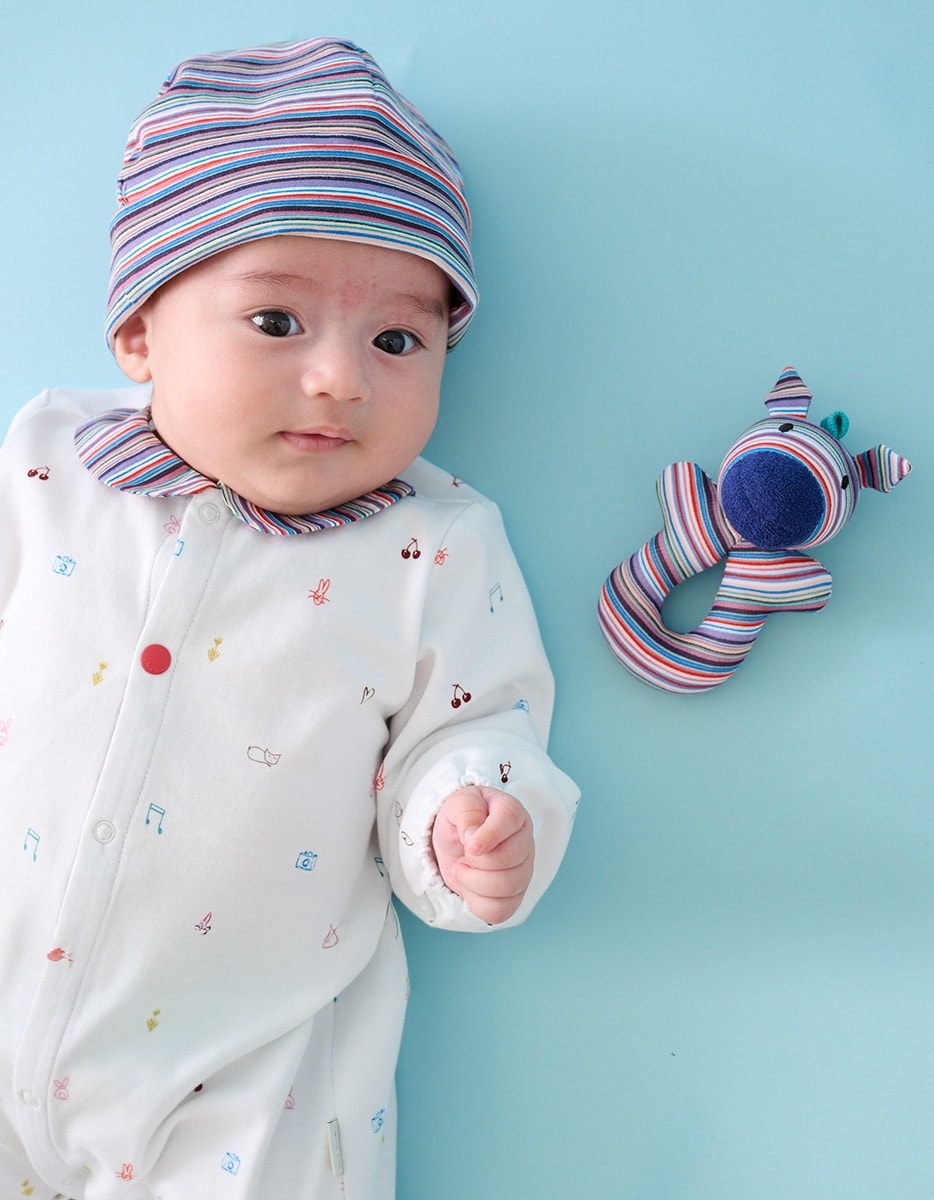 Autumn Collection 2025