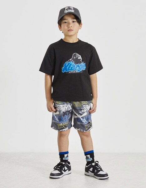 Spring Collection 2026