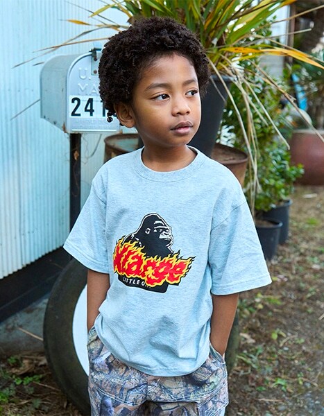 Spring Collection 2026