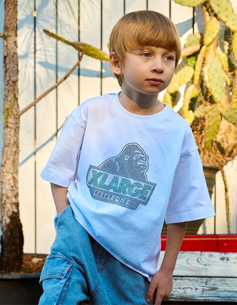 Spring Collection 2026