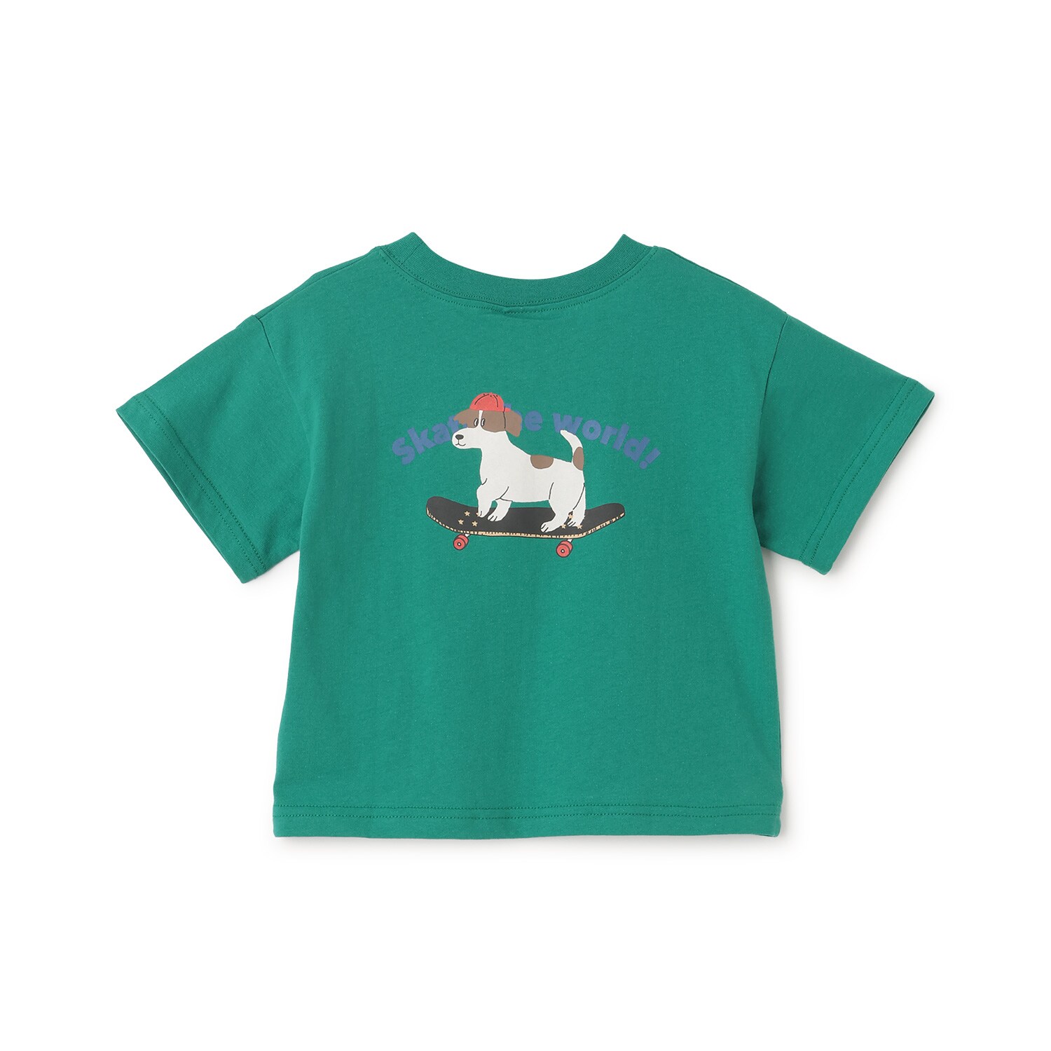 9762261