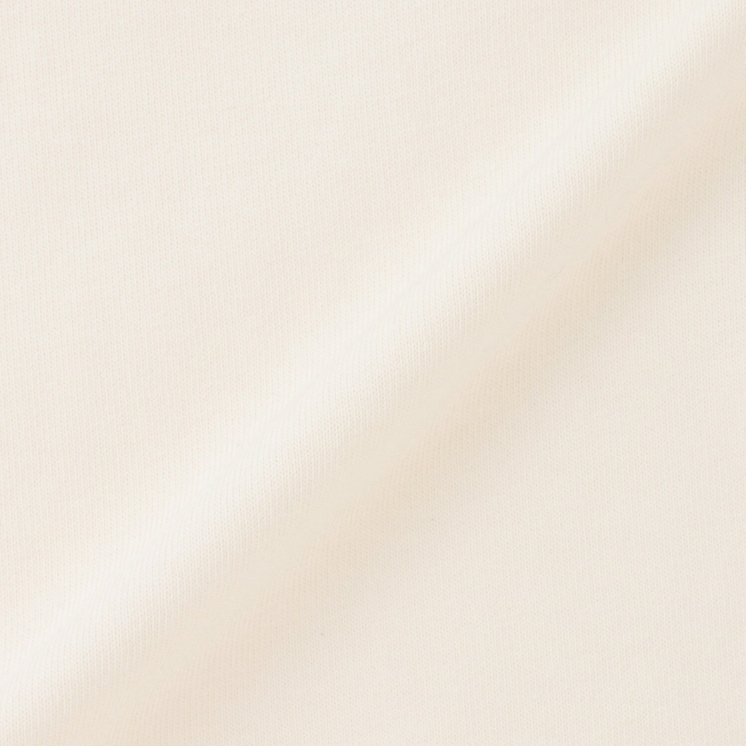 9562556