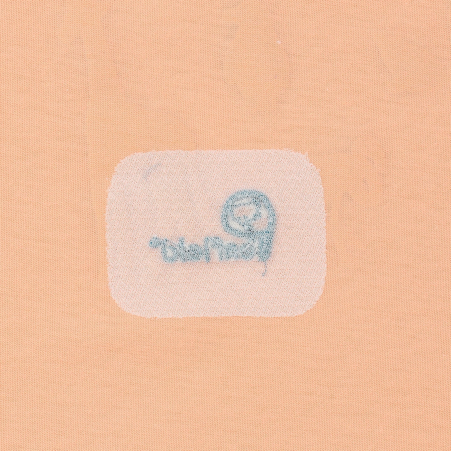 9762269
