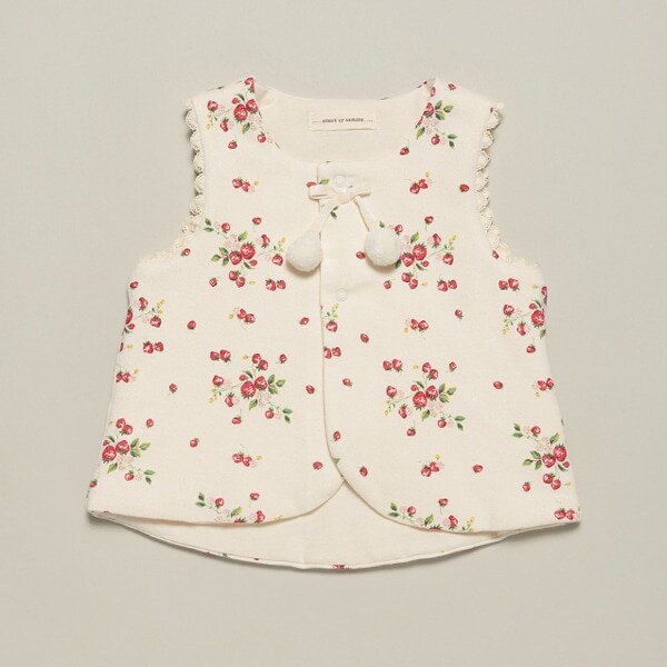 【オーガニック】野イチゴベスト