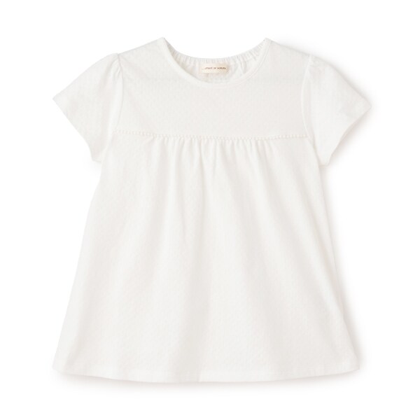 レーシー天竺Tシャツ