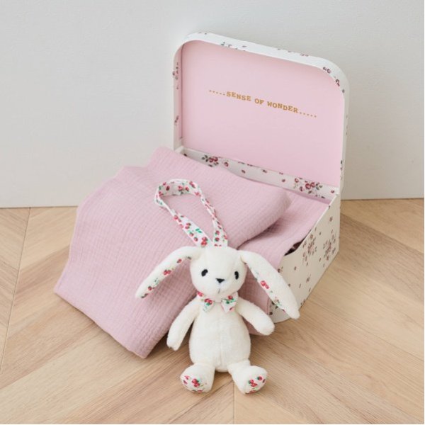 【BOX付】野イチゴトランクギフトセット