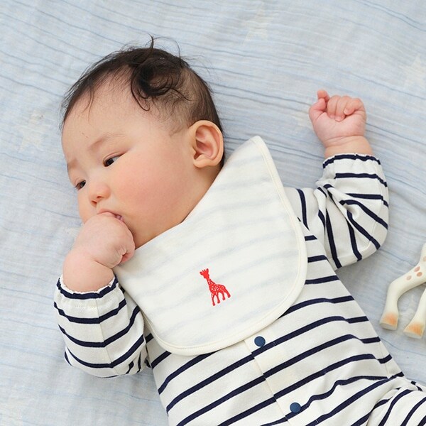 ベーシックボーダースタイ【日本製】