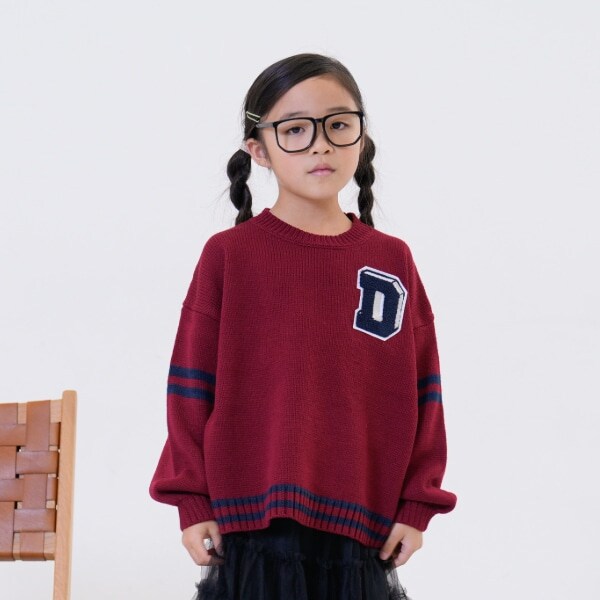 【洗濯機可】サガラワッペンラインニット