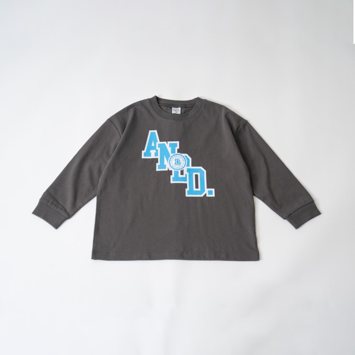 【USAコットン】ANDロゴカレッジワイドロンT