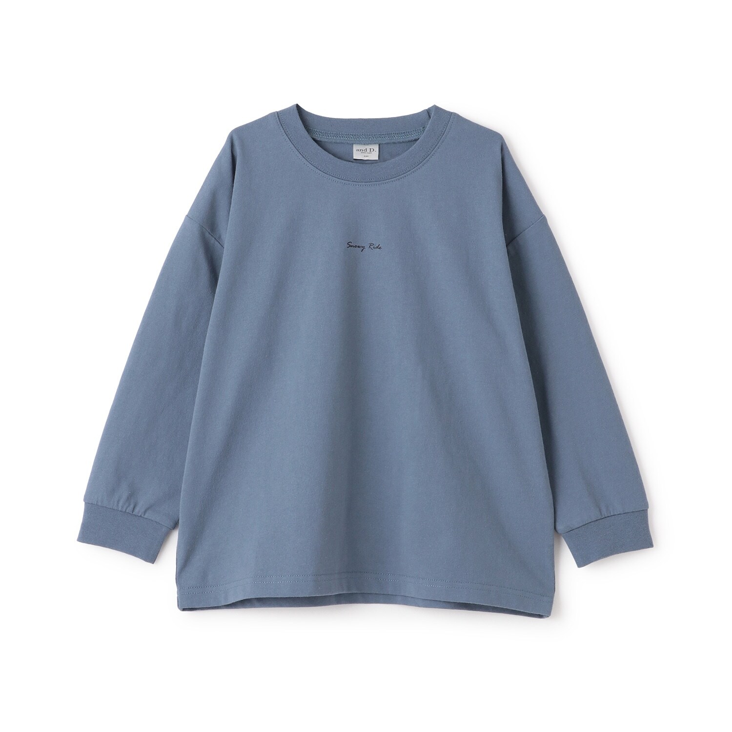 【USAコットン】バックフォトワイドロンT