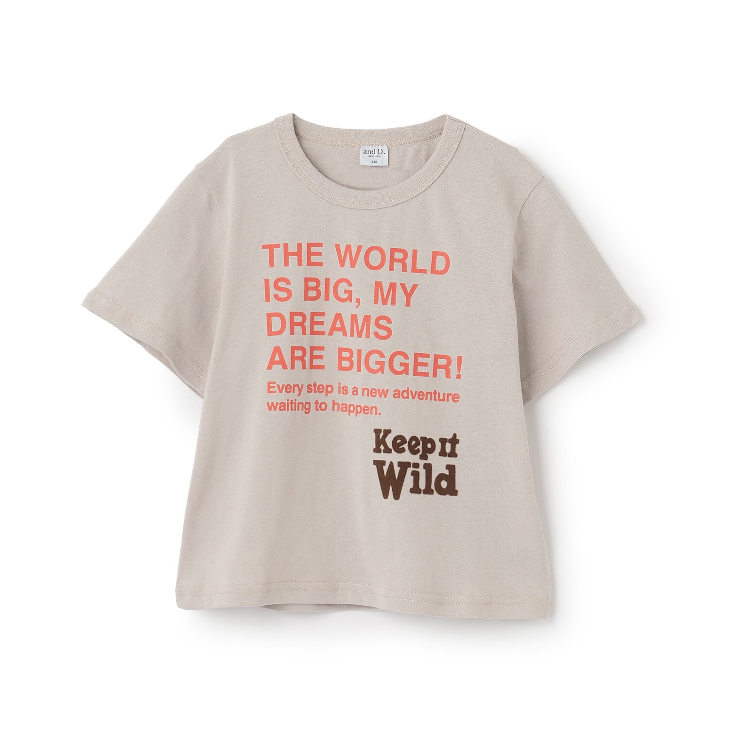 【綿100%】ドリームメッセージロゴ半袖T