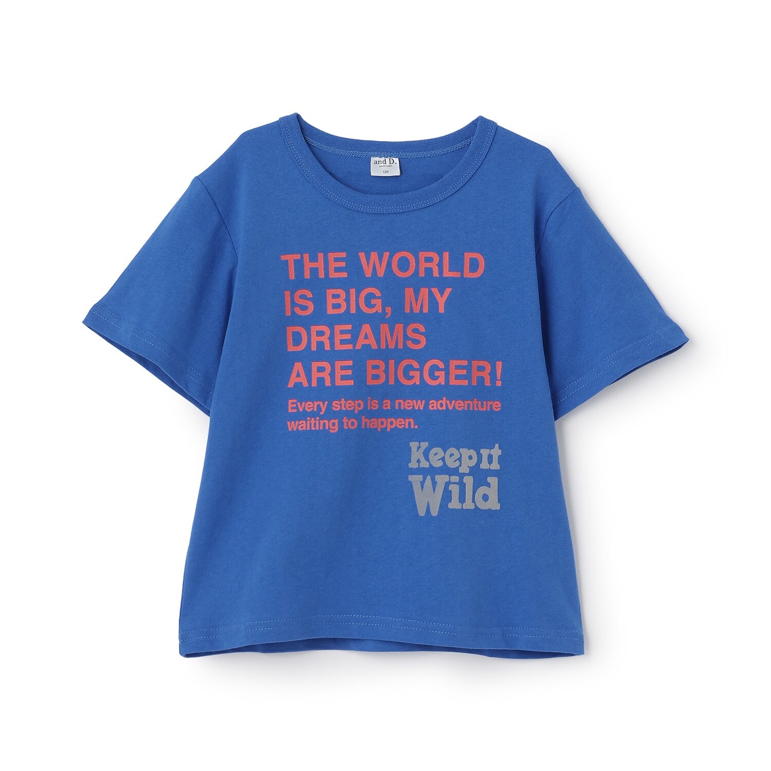 【綿100%】ドリームメッセージロゴ半袖T