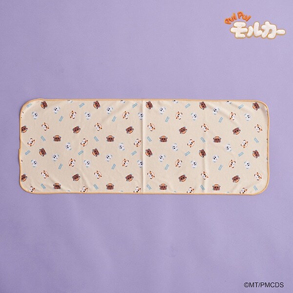 【PUI PUI モルカー】ひんやりタオル