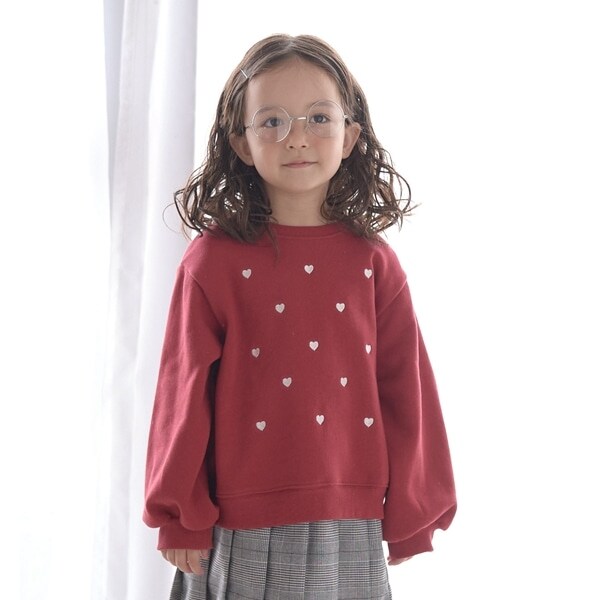 【表コットン毛玉バイバイ裏起毛】アソート刺しゅうスウェット