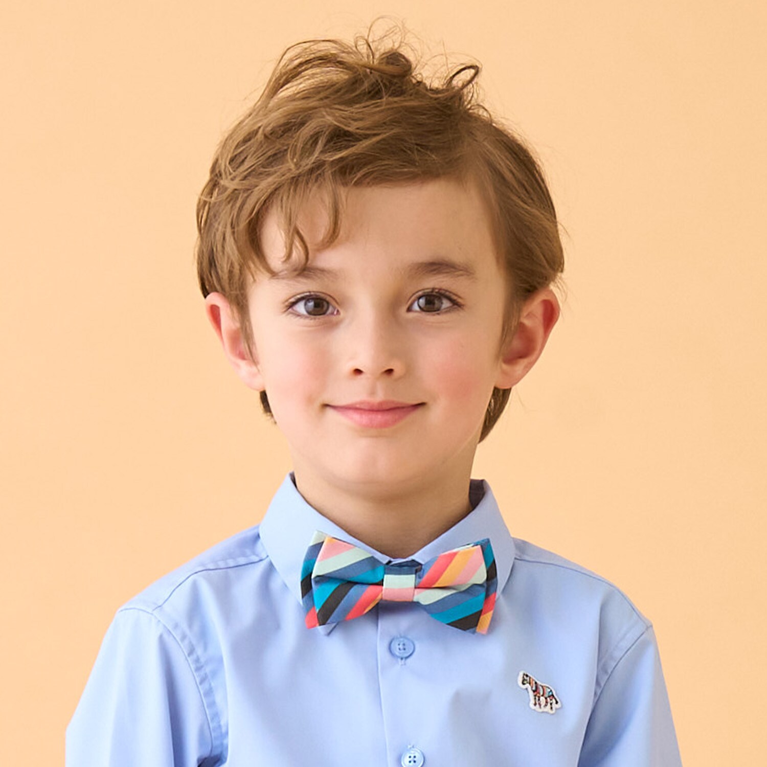 マルチストライプ蝶ネクタイ