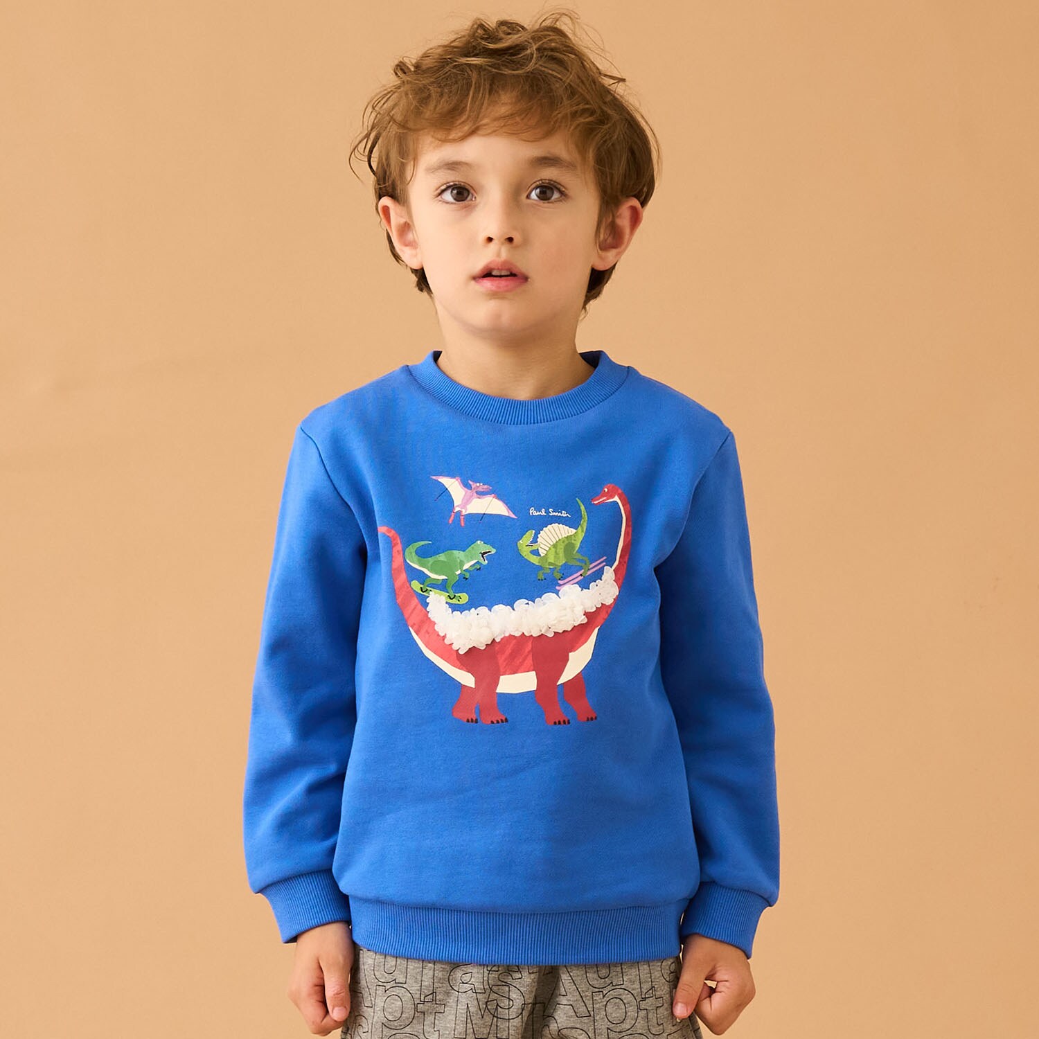 ウィンタースポーツ恐竜裏毛プルオーバー