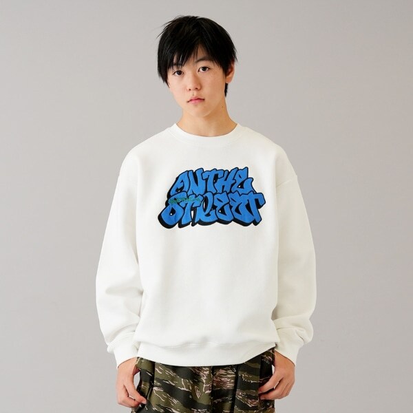 【大人向けサイズあり】【毛玉になりにくいしっかり暖か素材】裏起毛・アップリケ刺繍ビッグトレーナー