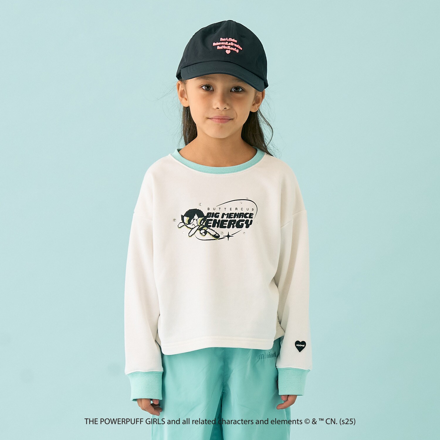 【防汚加工】【パワーパフ ガールズ】アソートキャラ裏毛