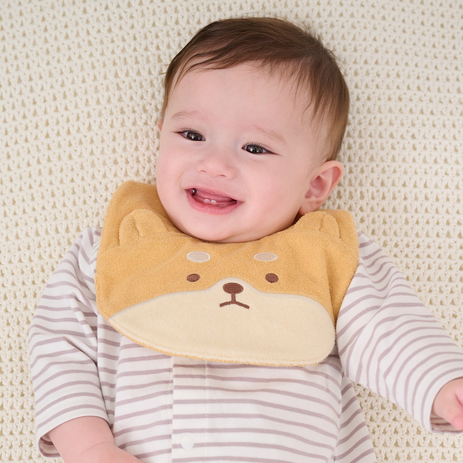 いきものスタイ