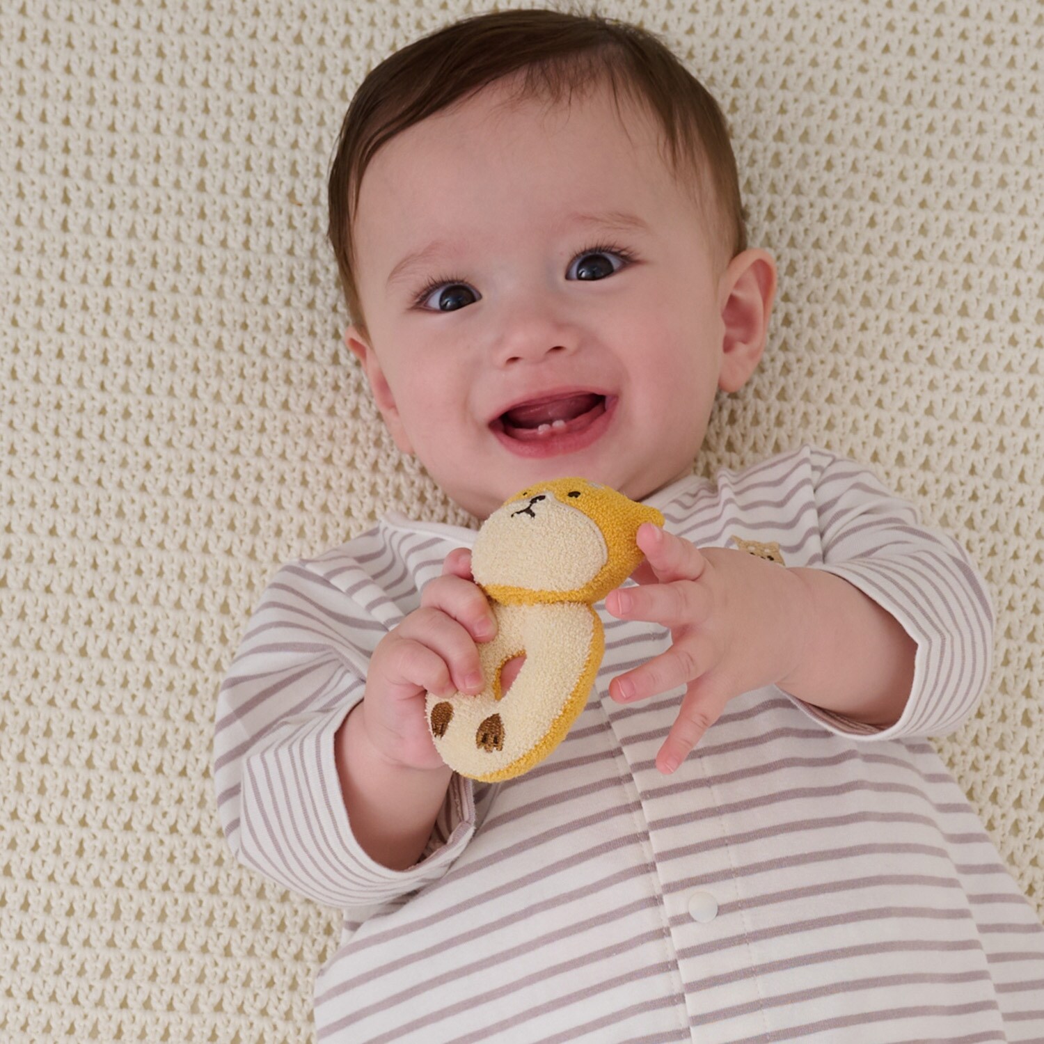 いきものラトル