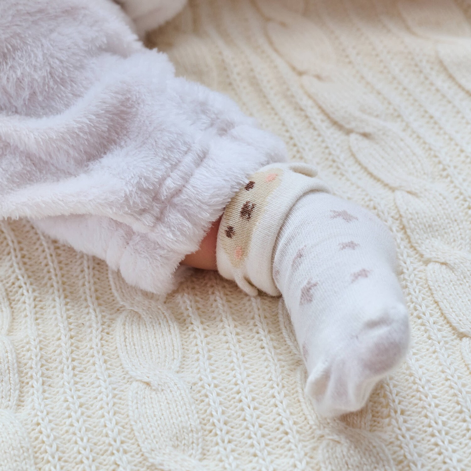 いきものカップソックス