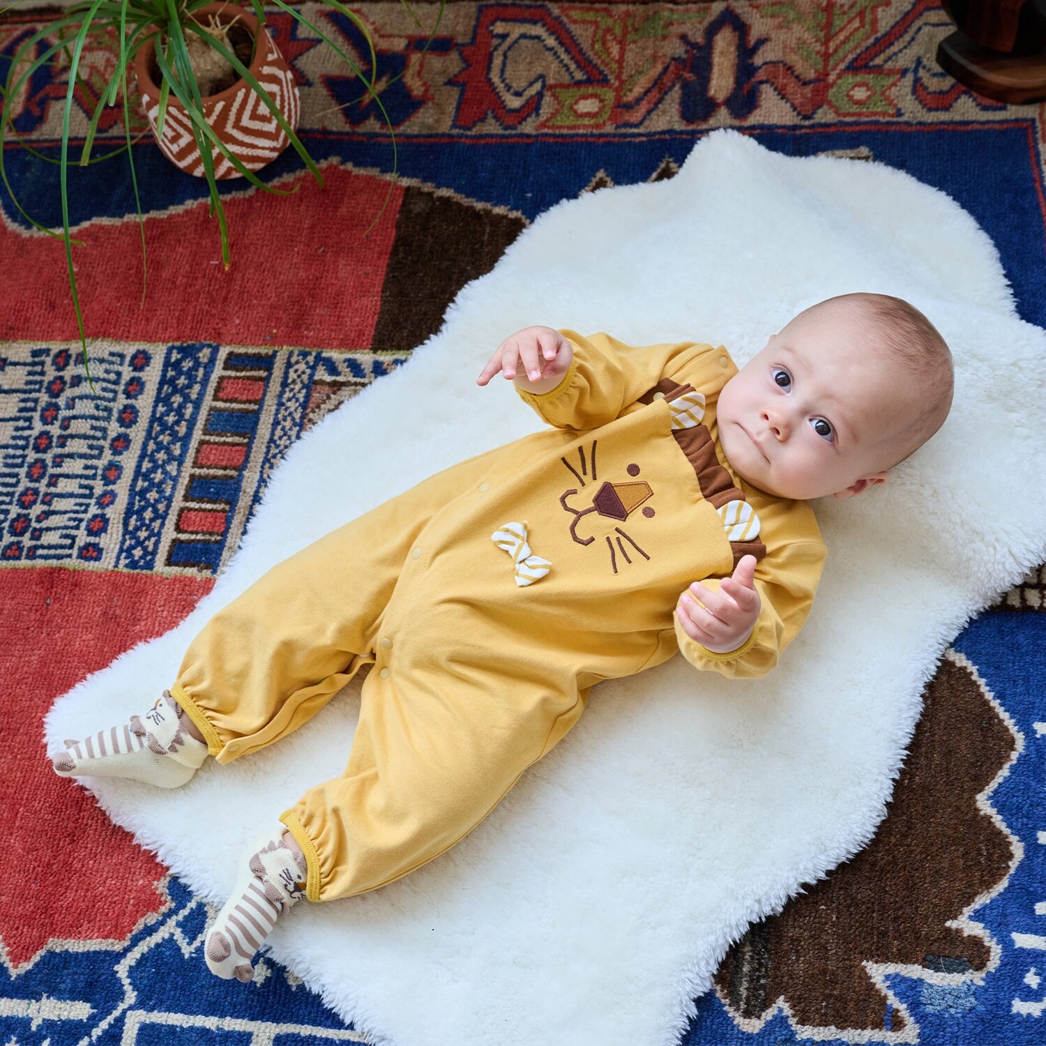 アニマル2wayオール