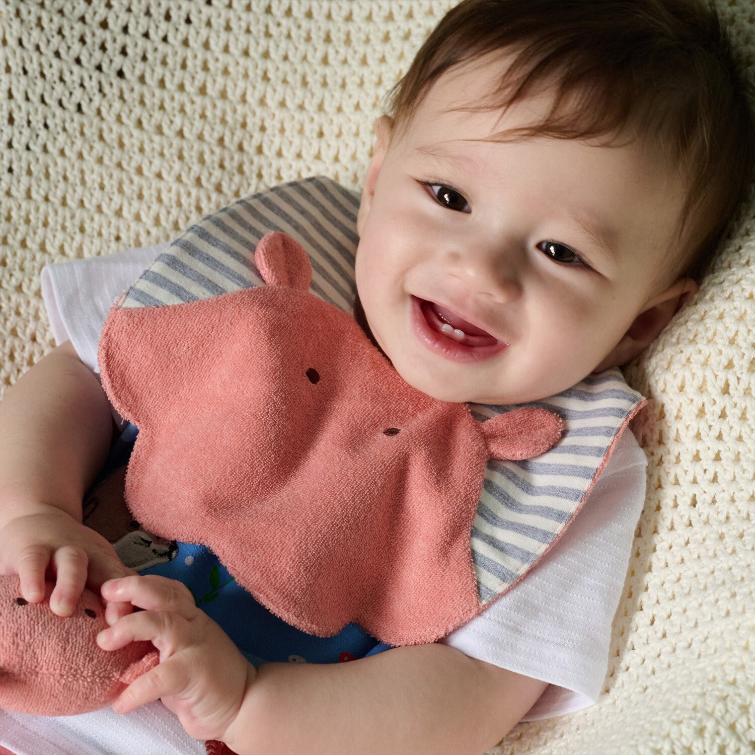 海の生き物スタイ