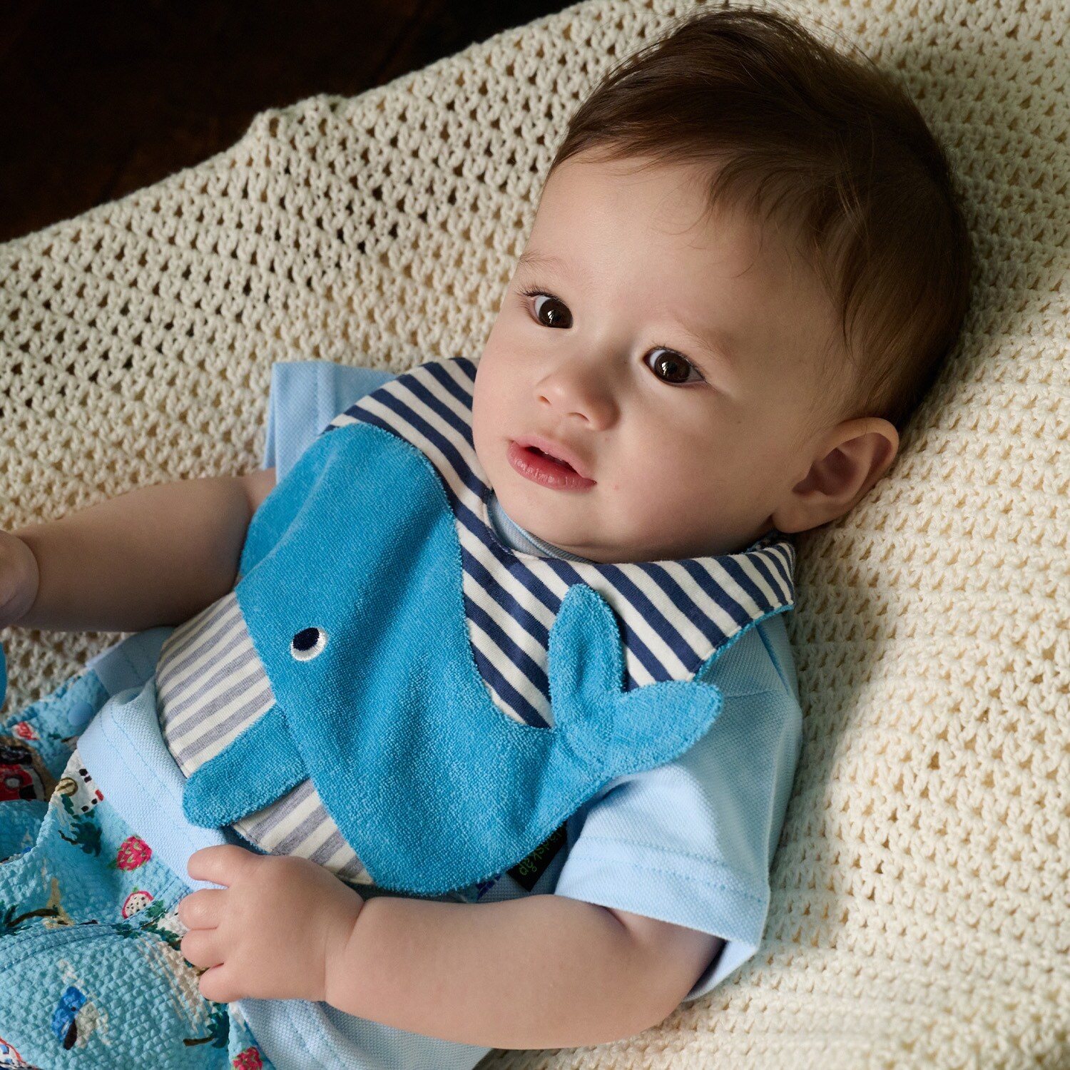 海の生き物スタイ