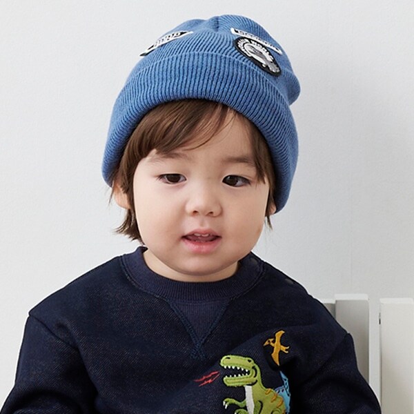 いろいろワッペンニット帽