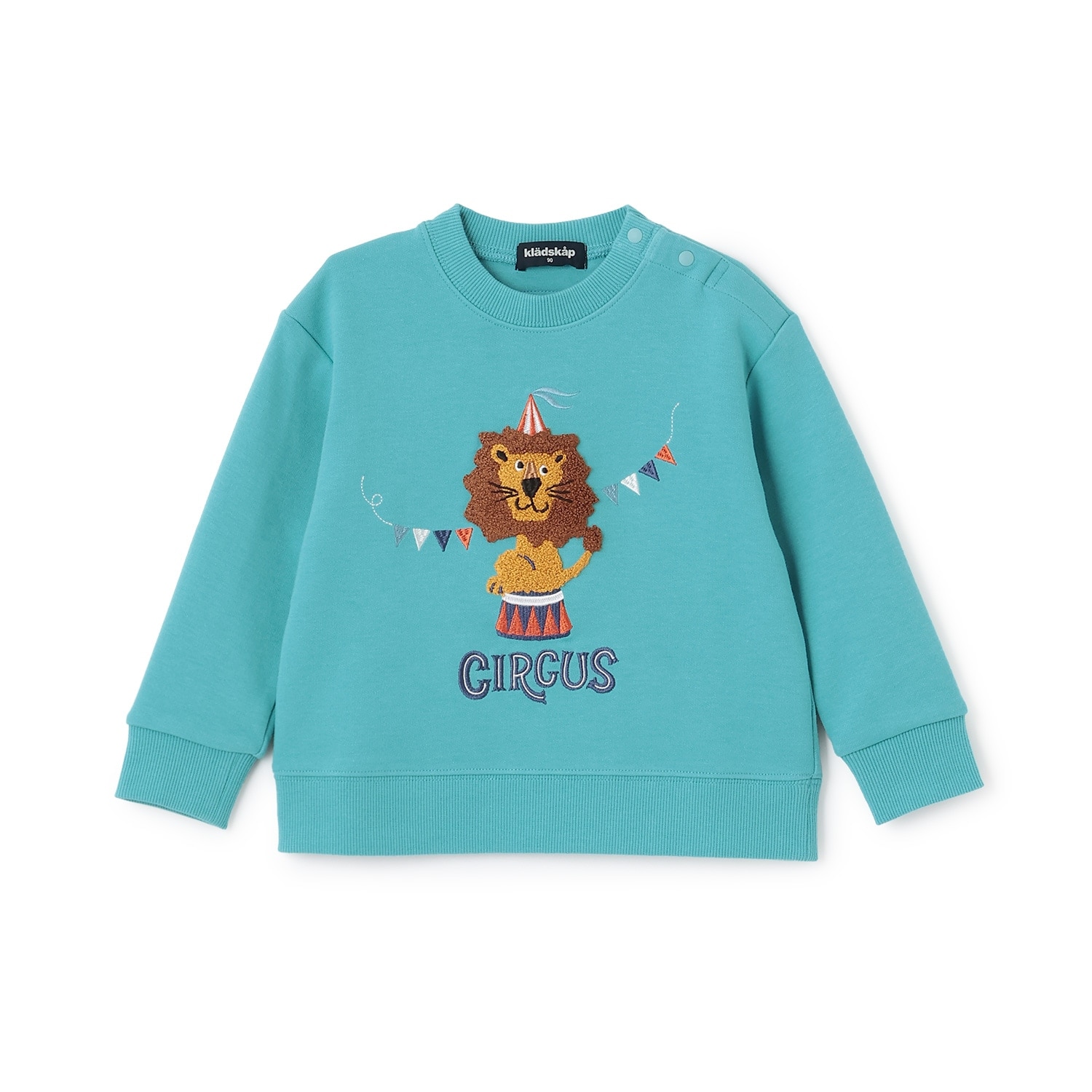 サーカスライオントレーナー