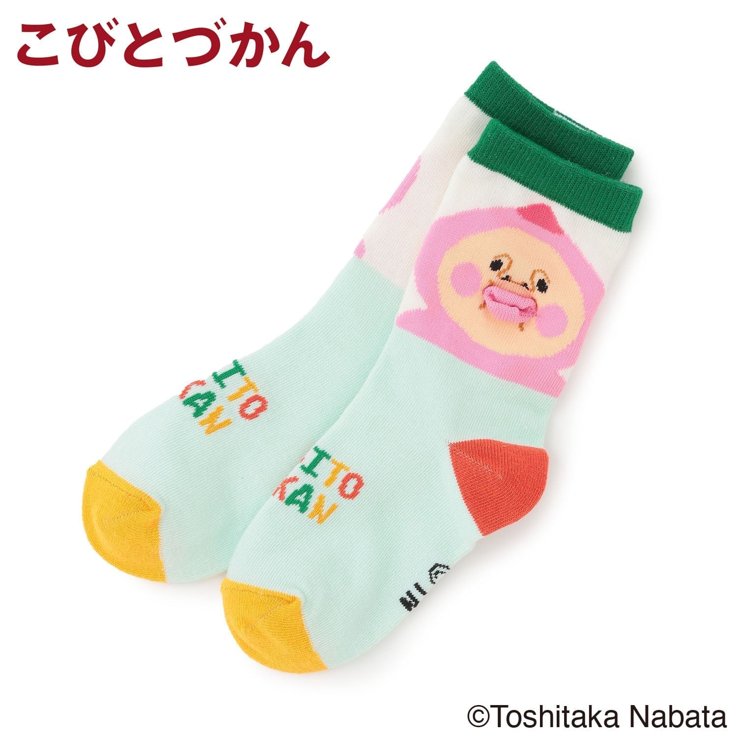 【4月29日発売予定】【こびとづかん】ぷっくりクルーソックス