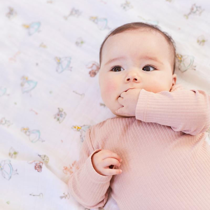 【aden + anais】スワドル/アリスインワンダーランド/3枚