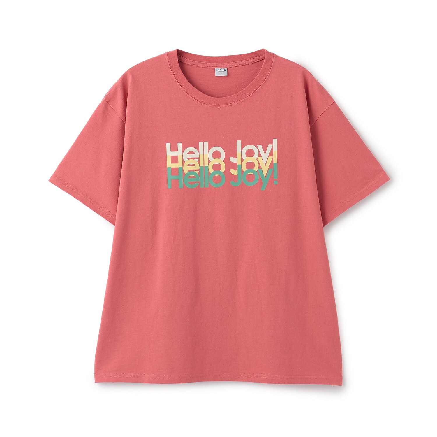 【DAD】USED風加工ロゴ半袖T