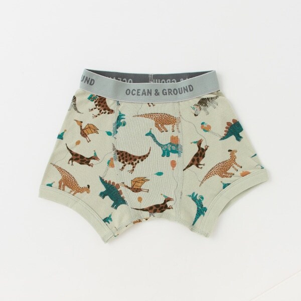 【アンダーウエア】【オーシャン＆グラウンド】ボクサーパンツ Happy Dinosaur