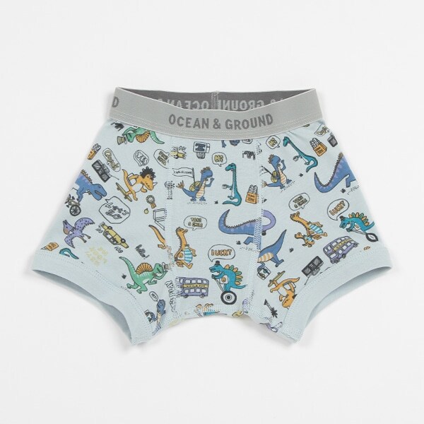 【アンダーウエア】【オーシャン＆グラウンド】ボクサーパンツ Dinosaur City