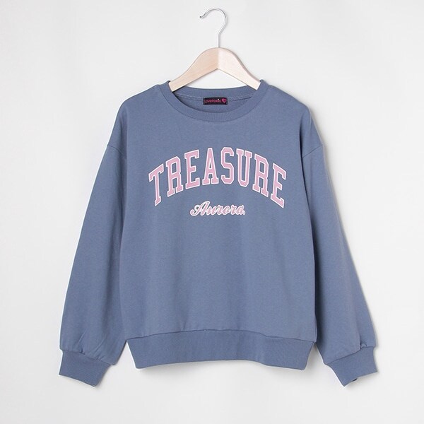 カレッジロゴプルオーバー