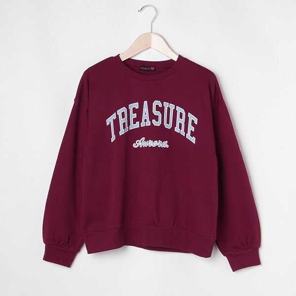 カレッジロゴプルオーバー