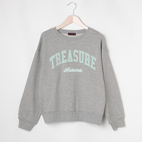 カレッジロゴプルオーバー