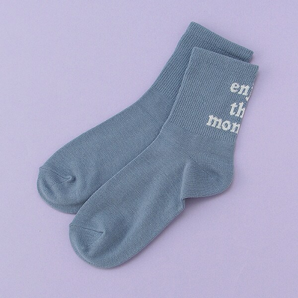 バックロゴリブクルーソックス