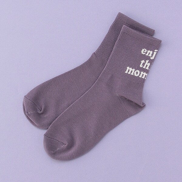 バックロゴリブクルーソックス