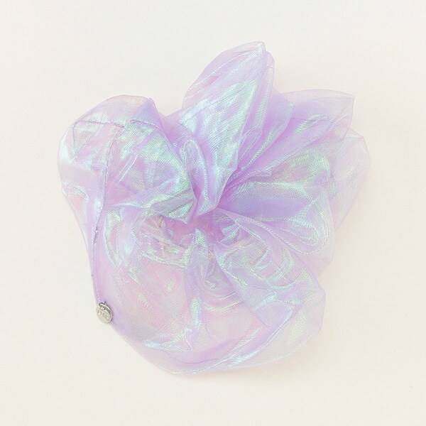 オーロラシュシュ