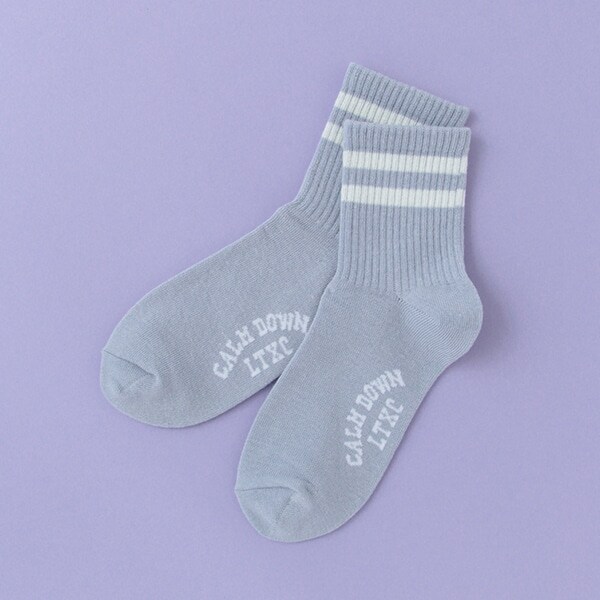 2本ラインクルーソックス