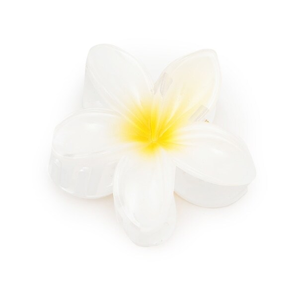 プルメリアバンスクリップ