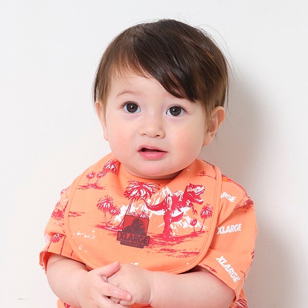 恐竜アロハ柄スタイ