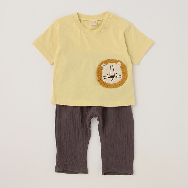 アニマルモチーフセットアップ